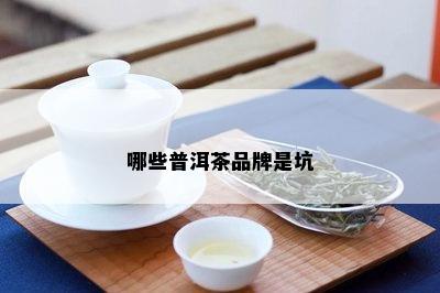 哪些普洱茶品牌是坑