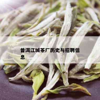 普洱江城茶厂历史与招聘信息