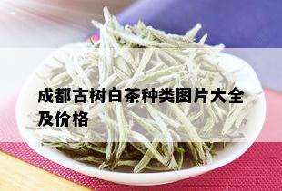 成都古树白茶种类图片大全及价格