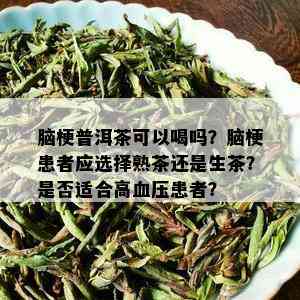 脑梗普洱茶可以喝吗？脑梗患者应选择熟茶还是生茶？是否适合高血压患者？