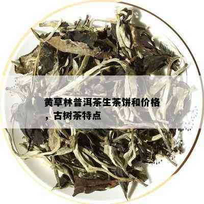 黄草林普洱茶生茶饼和价格，古树茶特点