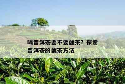 喝普洱茶要不要醒茶？探索普洱茶的醒茶方法