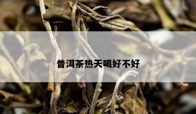 普洱茶热天喝好不好