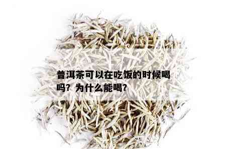 普洱茶可以在吃饭的时候喝吗？为什么能喝？