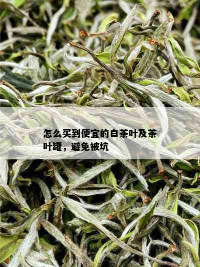 怎么买到便宜的白茶叶及茶叶罐，避免被坑