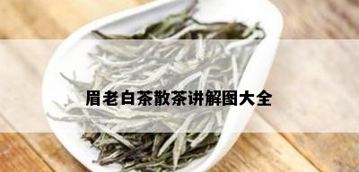 眉老白茶散茶讲解图大全