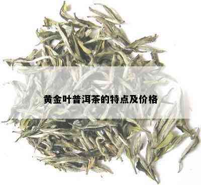 黄金叶普洱茶的特点及价格