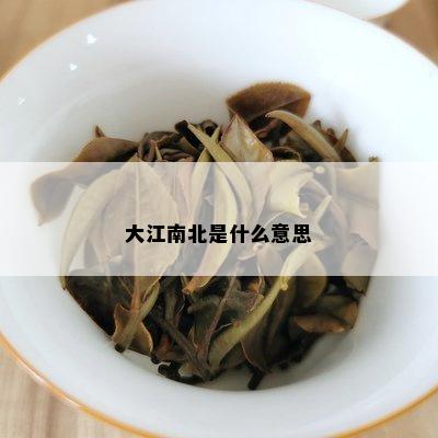 大江南北是什么意思