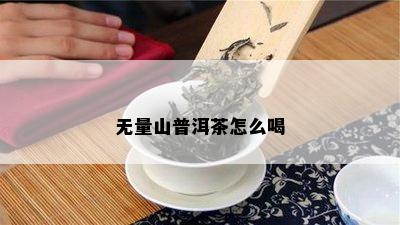 无量山普洱茶怎么喝