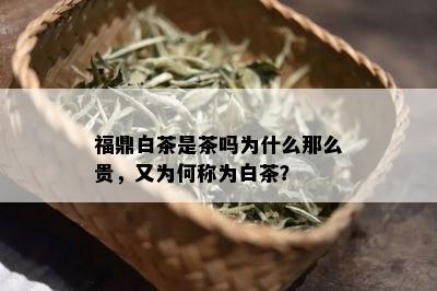 福鼎白茶是茶吗为什么那么贵，又为何称为白茶？