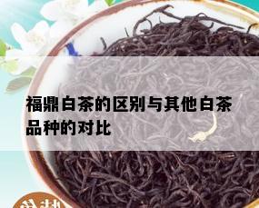 福鼎白茶的区别与其他白茶品种的对比