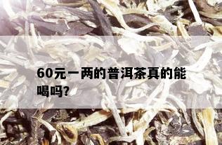 60元一两的普洱茶真的能喝吗？