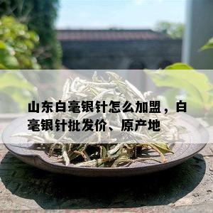 山东白毫银针怎么加盟，白毫银针批发价、原产地