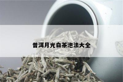 普洱月光白茶泡法大全