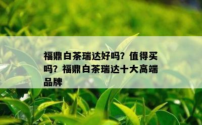 福鼎白茶瑞达好吗？值得买吗？福鼎白茶瑞达十大高端品牌