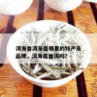 洱海普洱茶是哪里的特产及品牌，洱海是普洱吗？