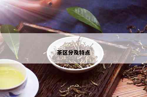 茶区分及特点