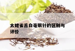 太姥雀舌白毫银针的区别与评价