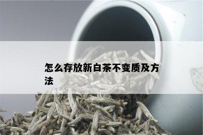 怎么存放新白茶不变质及方法