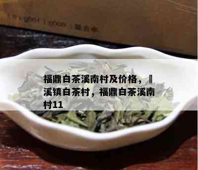 福鼎白茶溪南村及价格，磻溪镇白茶村，福鼎白茶溪南村11