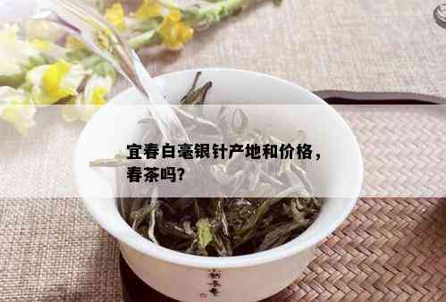 宜春白毫银针产地和价格，春茶吗？