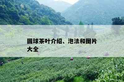 圆球茶叶介绍、泡法和图片大全