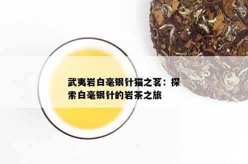 武夷岩白毫银针猫之茗：探索白毫银针的岩茶之旅