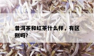 普洱茶和红茶什么样，有区别吗？