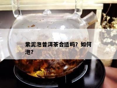 紫泥泡普洱茶合适吗？如何泡？