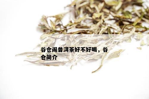 谷仓阁普洱茶好不好喝，谷仓简介