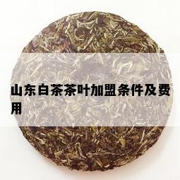 山东白茶茶叶加盟条件及费用