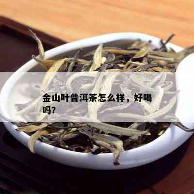 金山叶普洱茶怎么样，好喝吗？