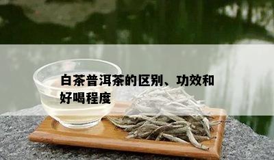 白茶普洱茶的区别、功效和好喝程度