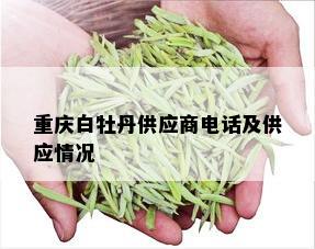 重庆白牡丹供应商电话及供应情况