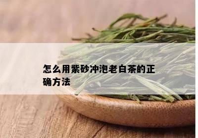 怎么用紫砂冲泡老白茶的正确方法