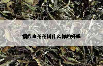 福鼎白茶茶饼什么样的好喝