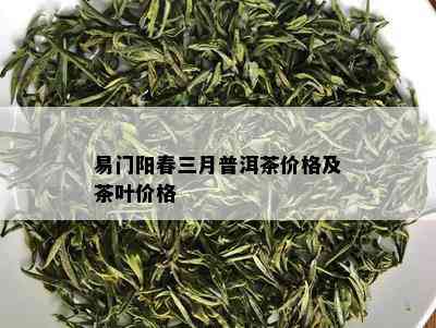 易门阳春三月普洱茶价格及茶叶价格