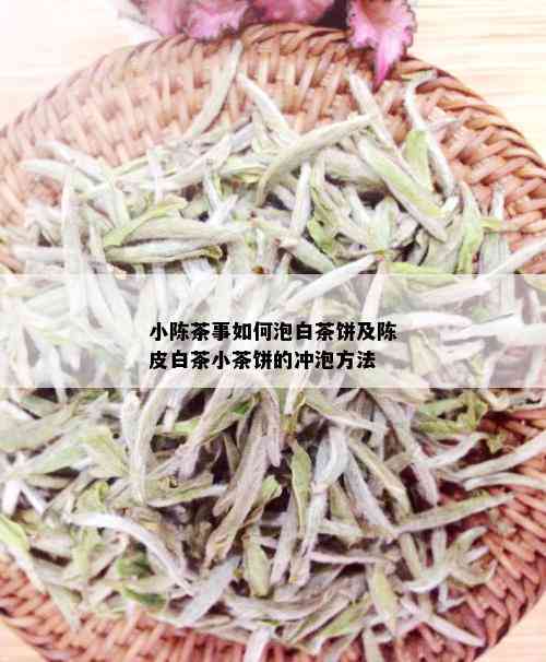 小陈茶事如何泡白茶饼及陈皮白茶小茶饼的冲泡方法