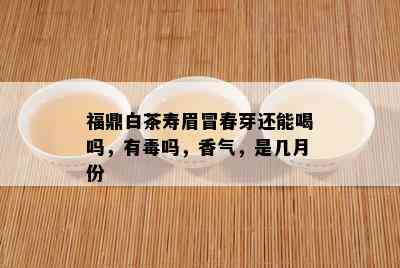 福鼎白茶寿眉冒春芽还能喝吗，有吗，香气，是几月份