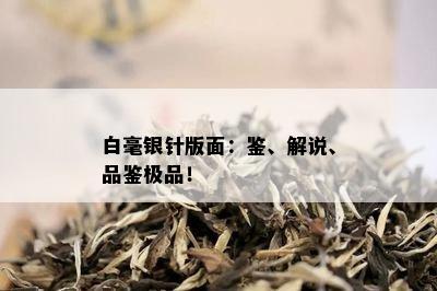 白毫银针版面：鉴、解说、品鉴极品！