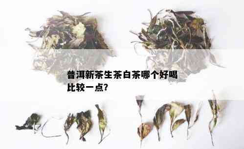 普洱新茶生茶白茶哪个好喝比较一点？