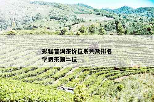 彩程普洱茶价位系列及排名学费茶第二位