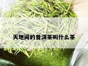 天地间的普洱茶叫什么茶