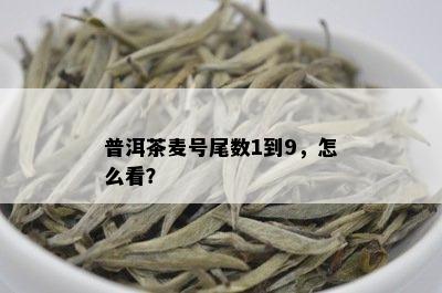 普洱茶麦号尾数1到9，怎么看？