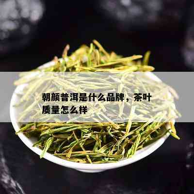 朝颜普洱是什么品牌，茶叶质量怎么样