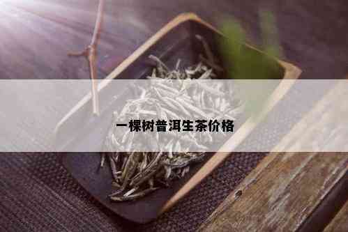 一棵树普洱生茶价格