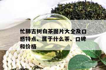 忙肺古树白茶图片大全及口感特点、属于什么茶、口碑和价格