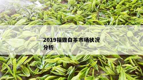 2019福鼎白茶市场状况分析