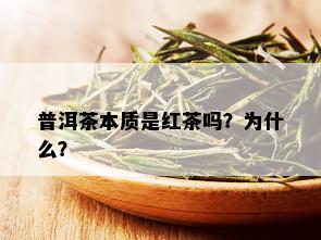 普洱茶本质是红茶吗？为什么？