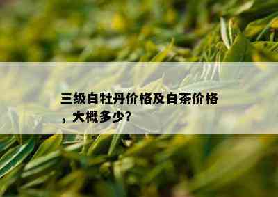 三级白牡丹价格及白茶价格，大概多少？